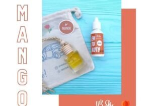 Perfumador para auto MANGO